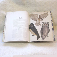 Animalium: Welcome to the Museum, Beautiful Large Format Book, Ages 8-adult