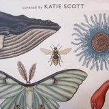 Animalium: Welcome to the Museum, Beautiful Large Format Book, Ages 8-adult
