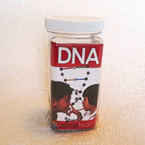 DNA Project Building Kit by ZOMETOOL - Art and Science at Play - US made, Ages 12 - adult