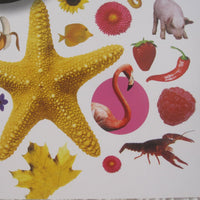 Eyelike Stickers: Colors, Beautiful Collection of 400 Reusable Stickers, Ages 4+