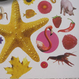 Eyelike Stickers: Colors, Beautiful Collection of 400 Reusable Stickers, Ages 4+