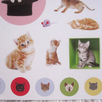 Eyelike Stickers: Kittens, Collection of 400 Adorable and Realistic, Reusable Stickers Book, Ages 4+