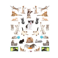Eyelike Stickers: Kittens, Collection of 400 Adorable and Realistic, Reusable Stickers Book, Ages 4+