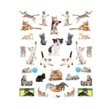 Eyelike Stickers: Kittens, Collection of 400 Adorable and Realistic, Reusable Stickers Book, Ages 4+